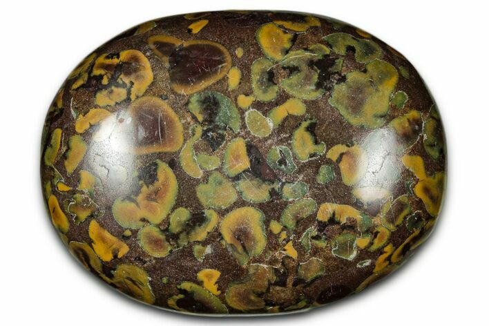 Polished Fruit Jasper Palm Stone - India #342241